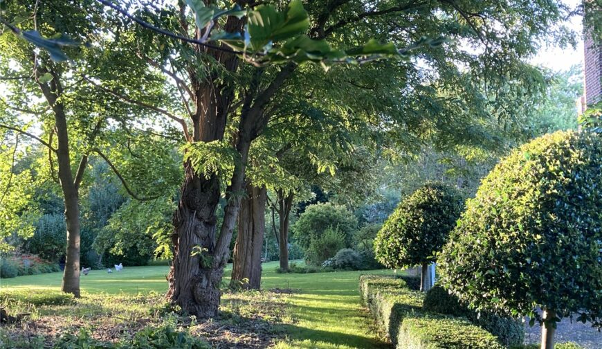 Dorrington House, Dorrington - Gardens