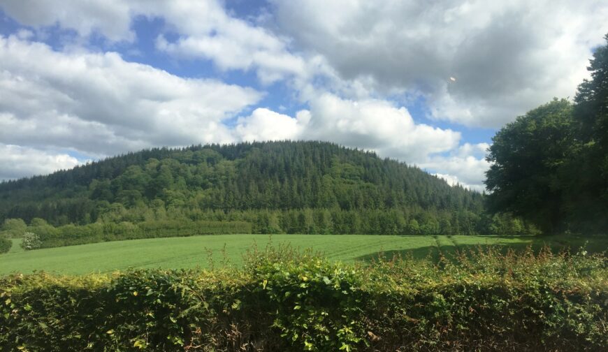 White Lodge, Stanage - Picture No 06