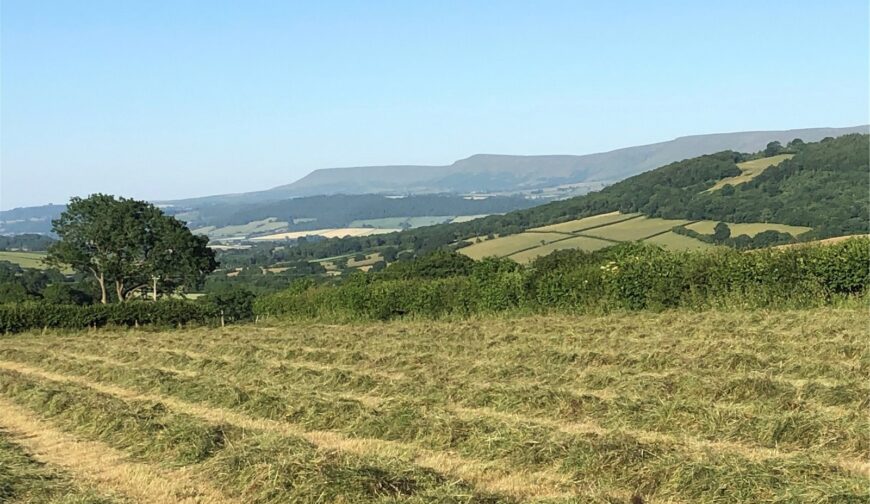 Talachddu Farm, Talachddu - Picture No. 20