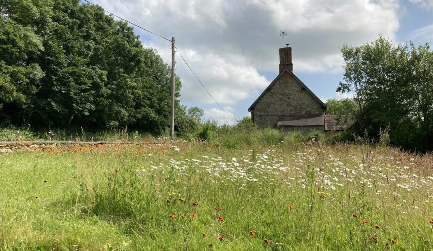 18 Hungerford - Picture No. 04