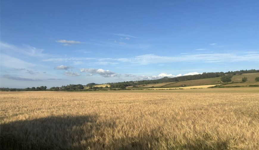 Land and Farm Buildings, Wotherton Hall Farm - Picture No. 03