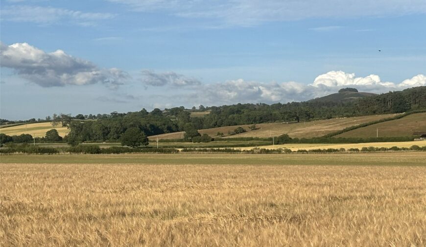 Land and Farm Buildings, Wotherton Hall Farm - Picture No. 04