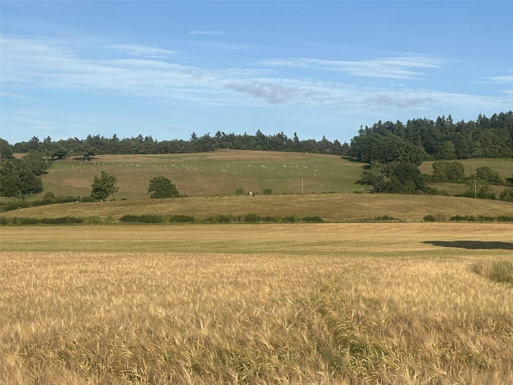 Land and Farm Buildings, Wotherton Hall Farm - Picture No. 05