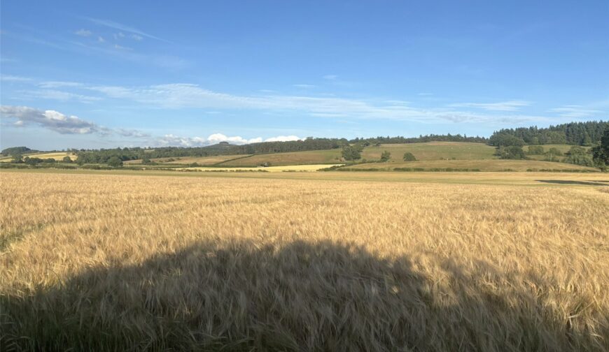 Land and Farm Buildings, Wotherton Hall Farm - Picture No. 08
