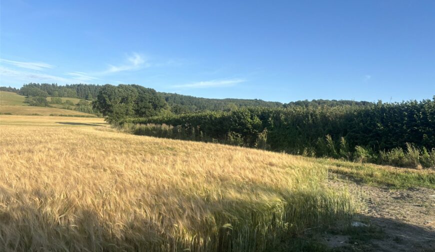 Land and Farm Buildings, Wotherton Hall Farm - Picture No. 09