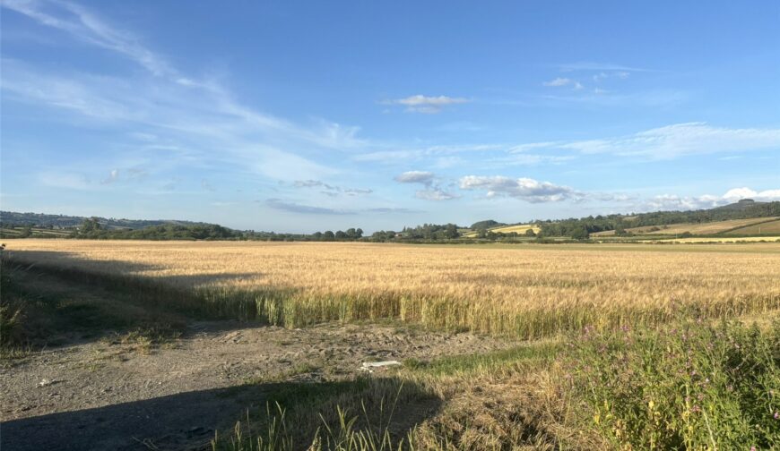 Land and Farm Buildings, Wotherton Hall Farm - Picture No. 11