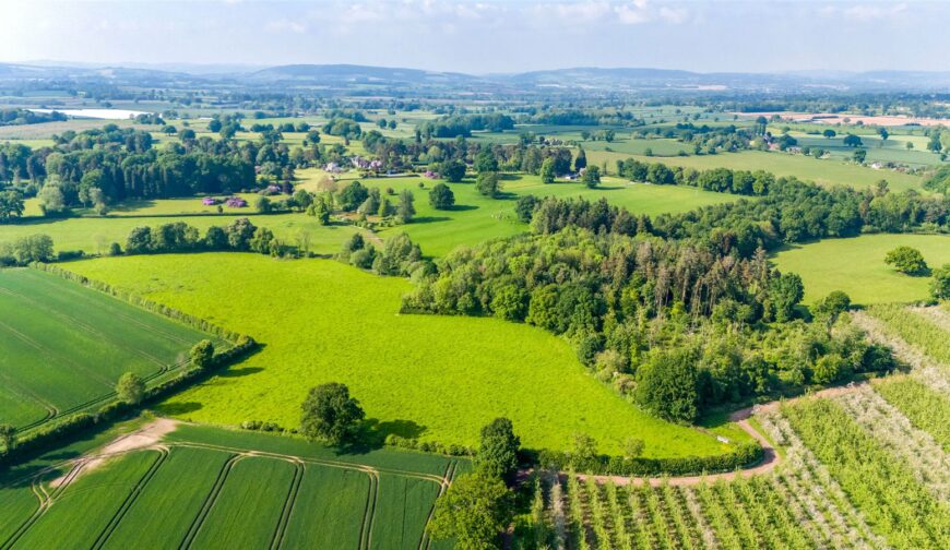 Lot 1 Broxwood Court, Broxwood - Picture No. 32