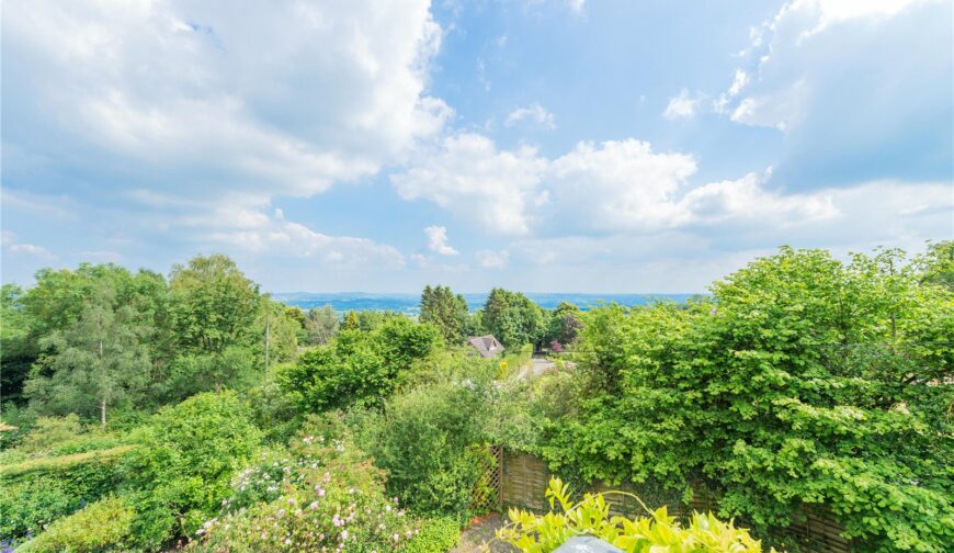 Holly Lodge, Hopton Bank - Picture No. 06