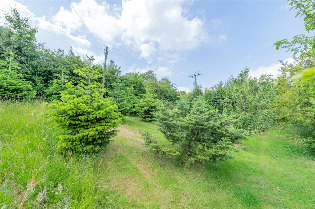 Holly Lodge, Hopton Bank - Picture No. 34