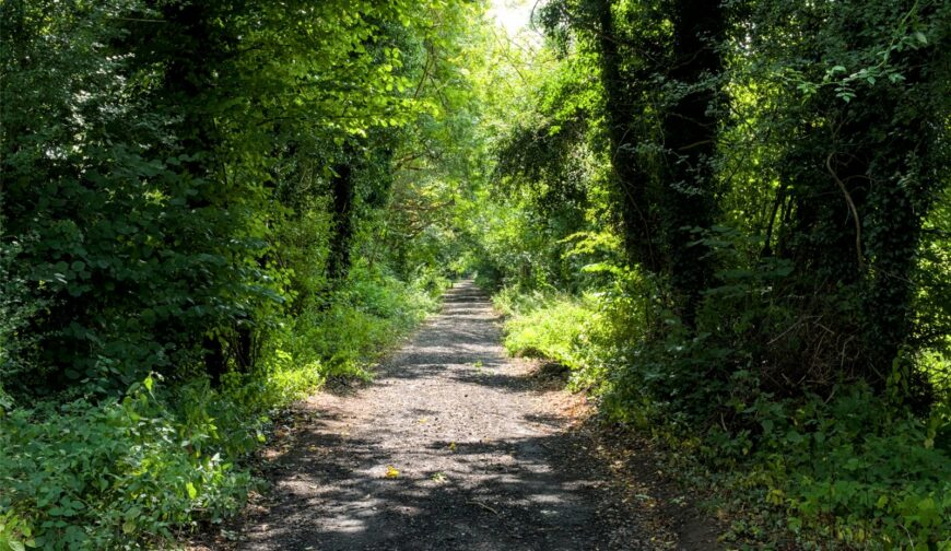 Stanbourne House Cottage, Apley - Picture No. 12