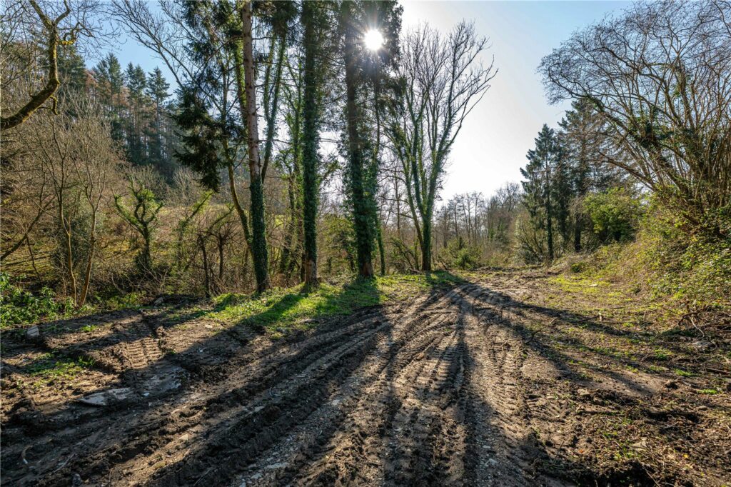 The Forge, Norton - Picture No. 25