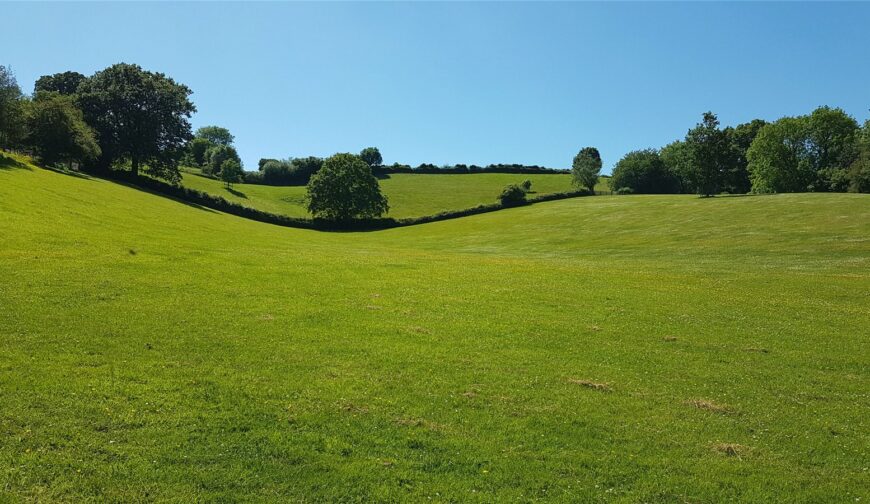 East Meadows, Nash - Picture No. 41