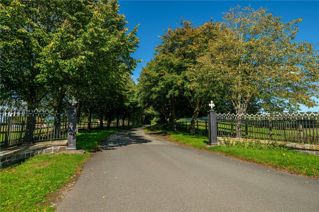 Glanrhyd, Llanidloes Road - Picture No. 19