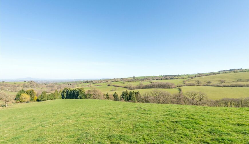 Outrack Cottage and Land, Pulverbatch - 20