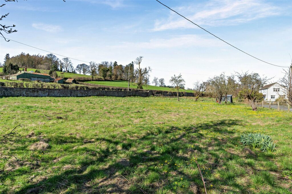 The Fields, Sweeney - 4