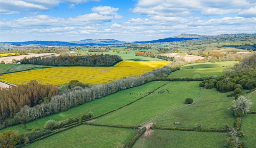 Poughnhill Farm, Caynham - Picture No. 18