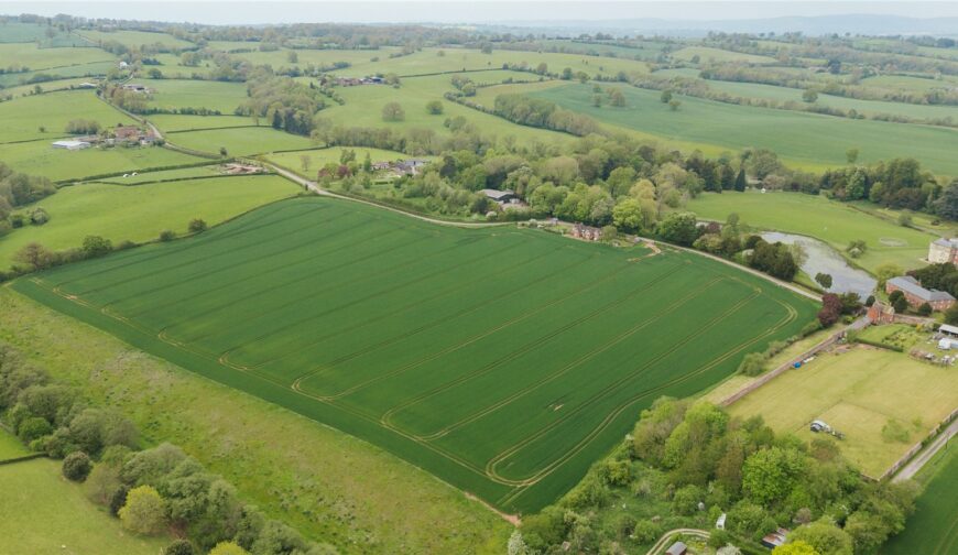 Lot 2, Parsonage Farm, Kyre - Picture No. 03