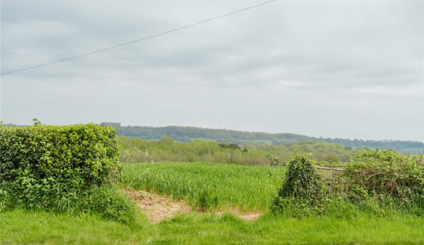 Lot 3, Parsonage Farm, Kyre - Picture No. 06