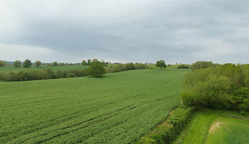Lot 4, Parsonage Farm, Kyre - Picture No. 05