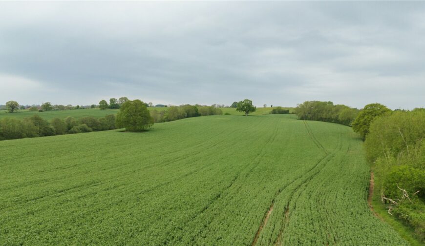 Lot 4, Parsonage Farm, Kyre - Picture No. 06