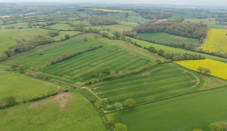 Lot 5, Parsonage Farm, Kyre - Picture No. 06