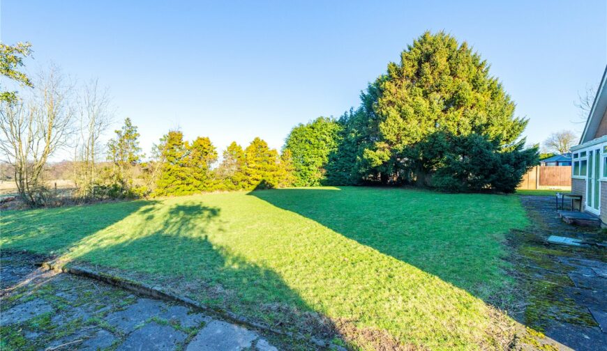 The Old Paddock, New Works - Garden