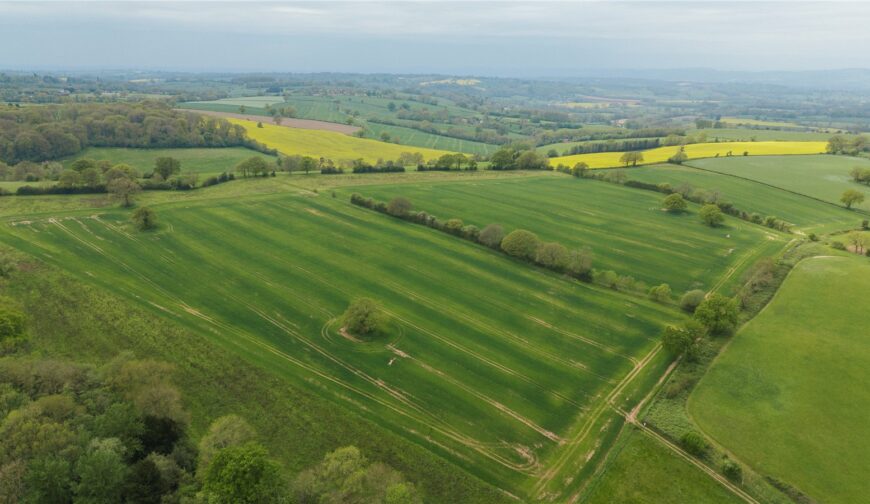 Parsonage Farm, Kyre - Picture No. 02