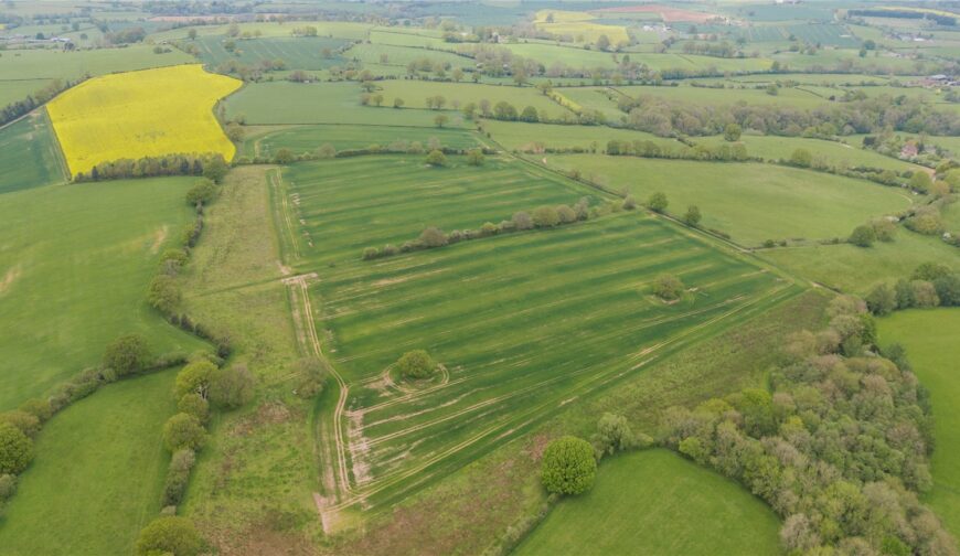 Parsonage Farm, Kyre - Picture No. 03