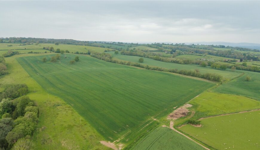 Parsonage Farm, Kyre - Picture No. 06
