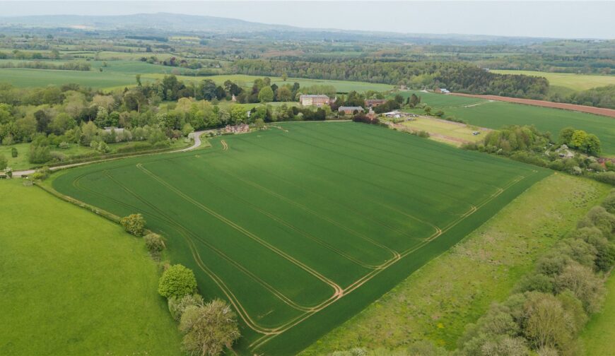 Parsonage Farm, Kyre - Picture No. 17