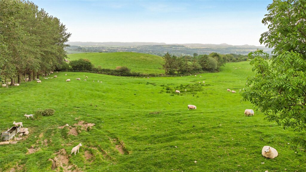 Shepton Fields, Pulverbatch - 4