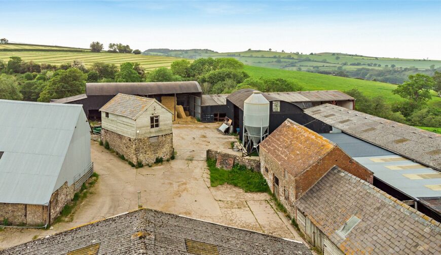 Shepton Fields, Pulverbatch - 2