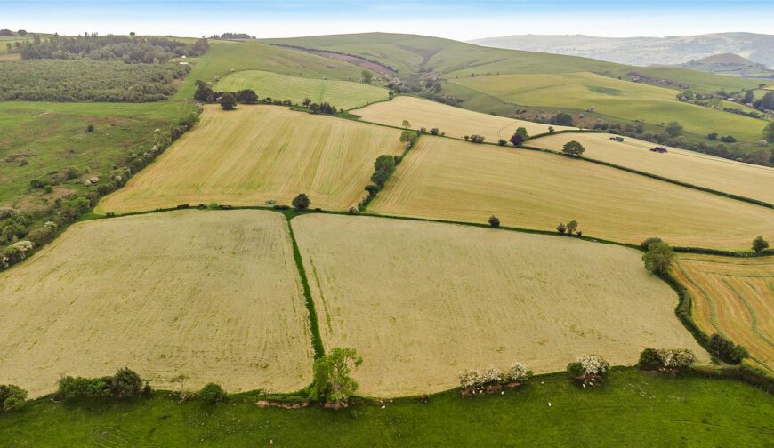 Shepton Fields, Pulverbatch - 6