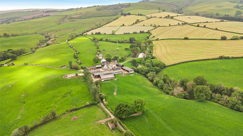 Shepton Fields, Pulverbatch - 1