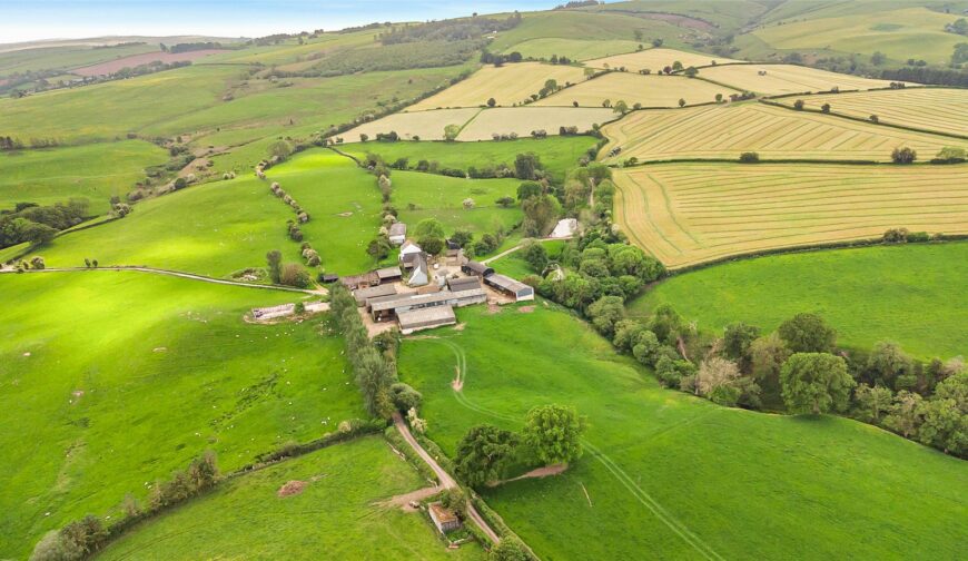 Shepton Fields, Pulverbatch - 1