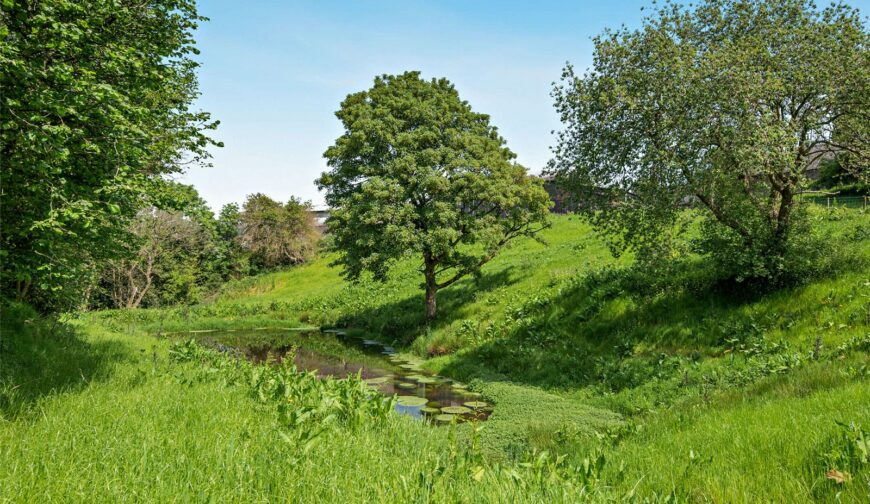 Shepton Fields, Pulverbatch - 20