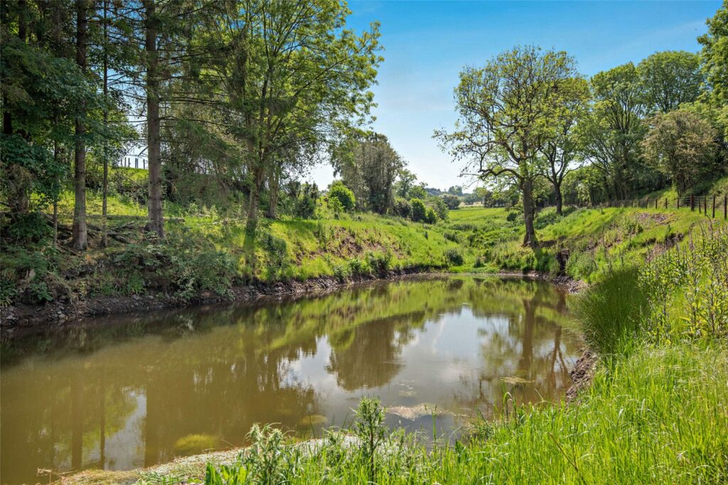 Shepton Fields, Pulverbatch - 22