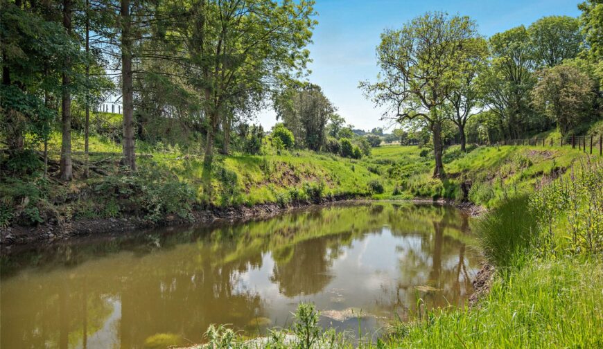 Shepton Fields, Pulverbatch - 21