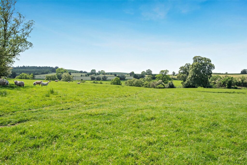 Shepton Fields, Pulverbatch - 25