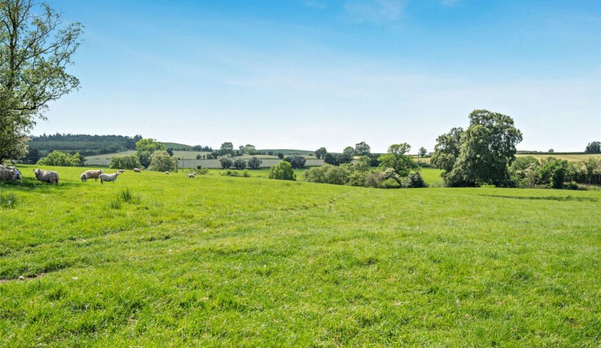 Shepton Fields, Pulverbatch - 24