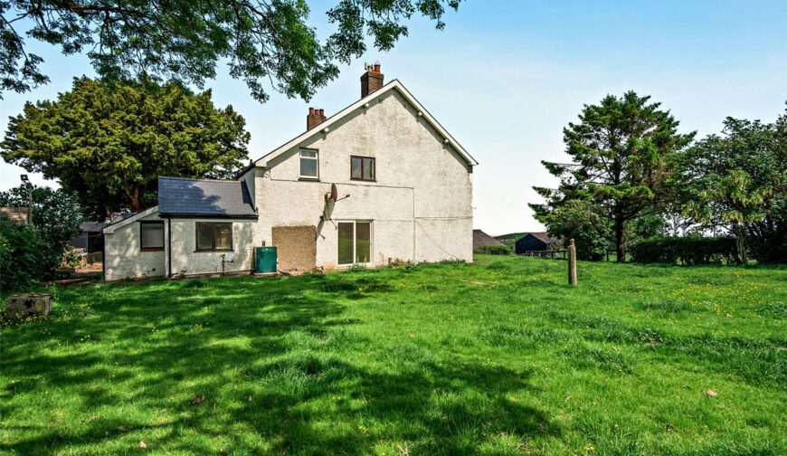 Shepton Fields, Pulverbatch - 20