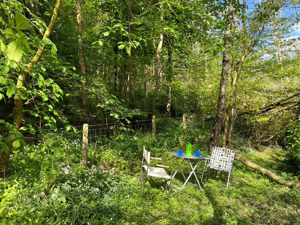 Lodge Cottage, Marshbrook - Picture No. 12