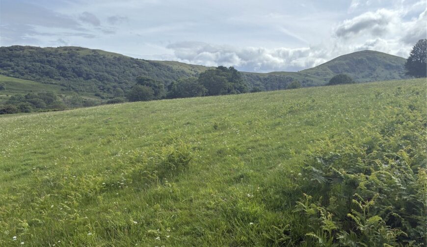 Land At Dolgarrog, Tal-y-Bont - Picture No. 02