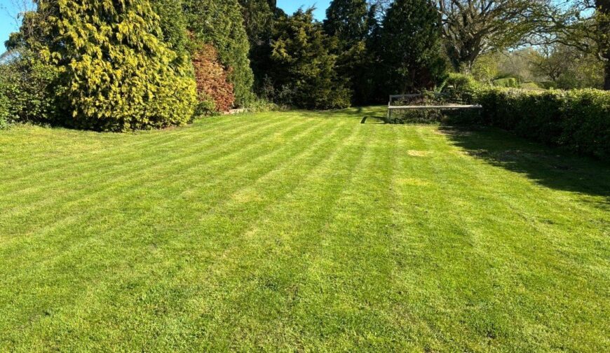 12 Rorrington - Picture No. 04