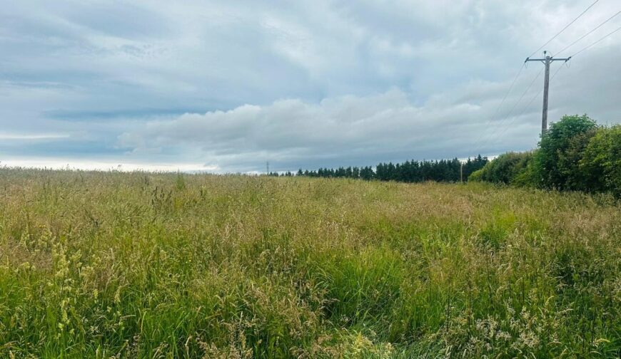 Land At Home Farm and Teilia, Golden Grove - Picture No. 02