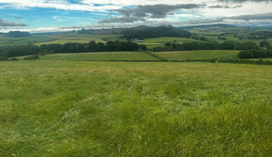 Land At Home Farm and Teilia, Golden Grove - Picture No. 06