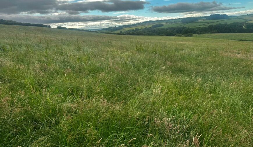 Land At Home Farm and Teilia, Golden Grove - Picture No. 07