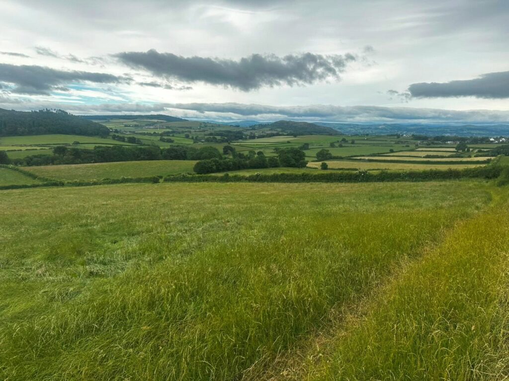 Land At Home Farm and Teilia, Golden Grove - Picture No. 08