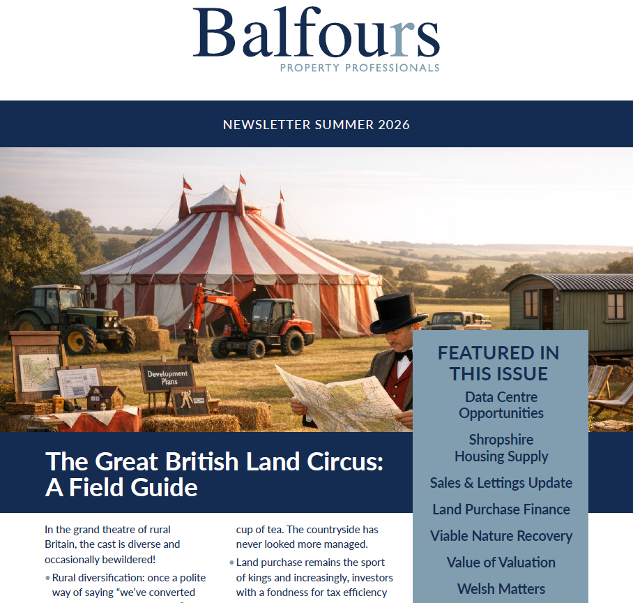 Summer Newsletter