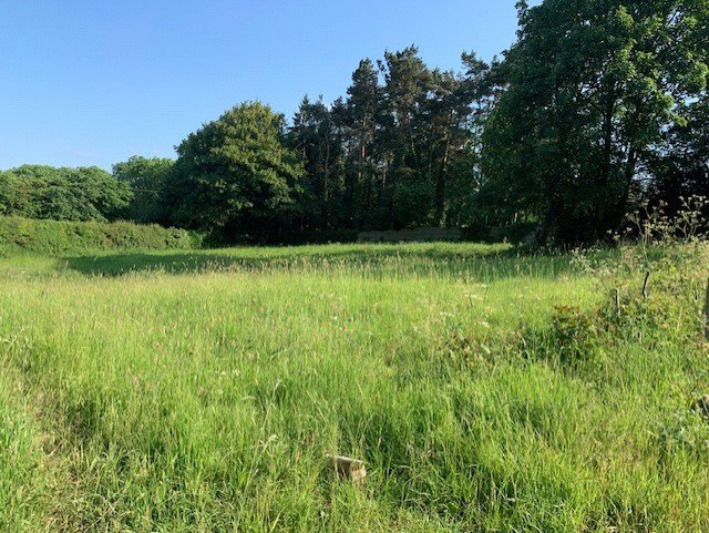 Land North Of Offley Grove Farm, Adbaston - Picture No. 01